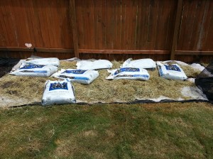 Beds Over Bermuda grass Or: Landscape Fabric Sandwich.