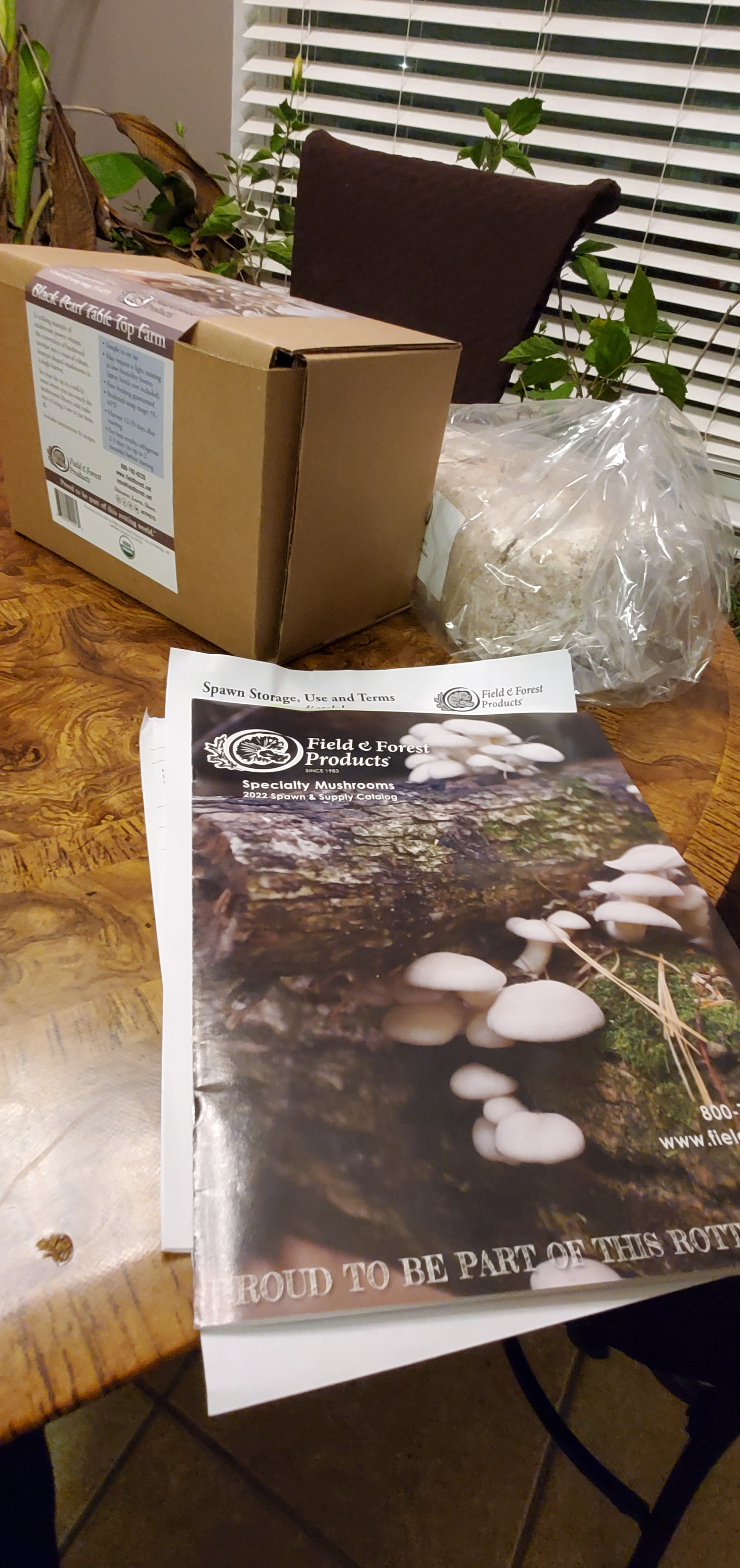 Growing Your Own Mushrooms. – Crazy Green Thumbs