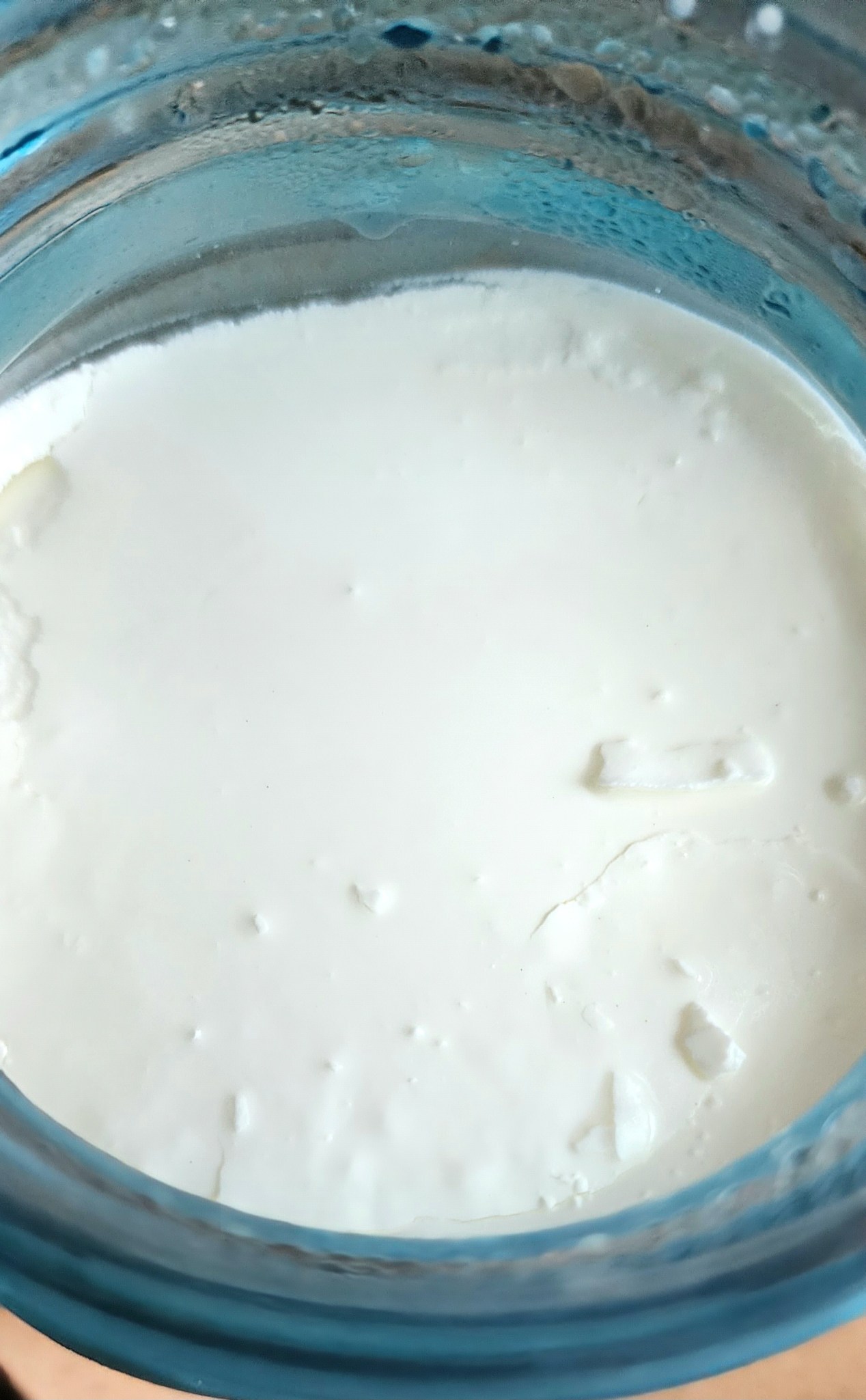 L. Gasseri, L. Reuteri or BC30 Bacillus Coagulans Yogurt Making-The ...